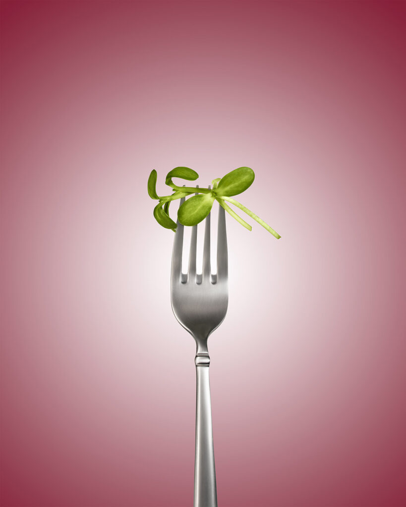 Close-up of vibrant green microgreens (sunflower or pea shoots) delicately placed on the tines of a silver fork, against a magenta and pink gradient background.